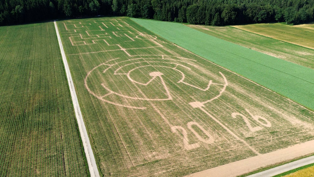 Das Maislabyrinth